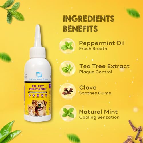 pil Pet Denta Gel Toothpaste for Dog & Cat with Mint, Green Tea Extract & Clove Oil |Fights Gum Diseases, Removes Plaque & Controls Bad Breath| Squeeze Only- No Brushing, No Rinsing (100Gm). - Image 3