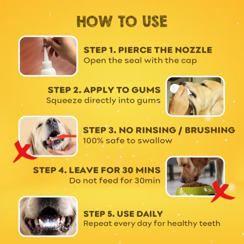 pil Pet Denta Gel Toothpaste for Dog & Cat with Mint, Green Tea Extract & Clove Oil |Fights Gum Diseases, Removes Plaque & Controls Bad Breath| Squeeze Only- No Brushing, No Rinsing (100Gm). - Image 4