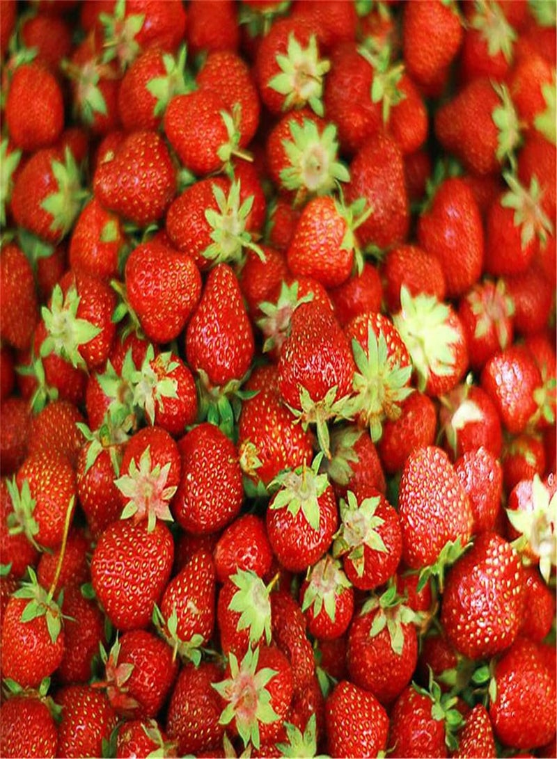 GGOOT Imported Strawberry Seeds Outdoor Herb Seeds Home Collection Gift/Enjoy Achievements of Planting/Fresh Oriental Seeds UK-200 Pcs - Image 1