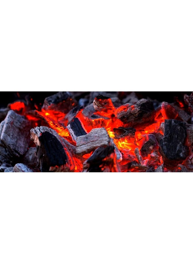 GO2CAMPS Alsaqer Camping Fire Gel | Chafing Fuel 350 Ml | Barbecue Lighter Gel | Fire Lighter | Fast Lighting Firestarters For Charcoal And Firewood, For Bbq, Grills & Campfires  - Image 3