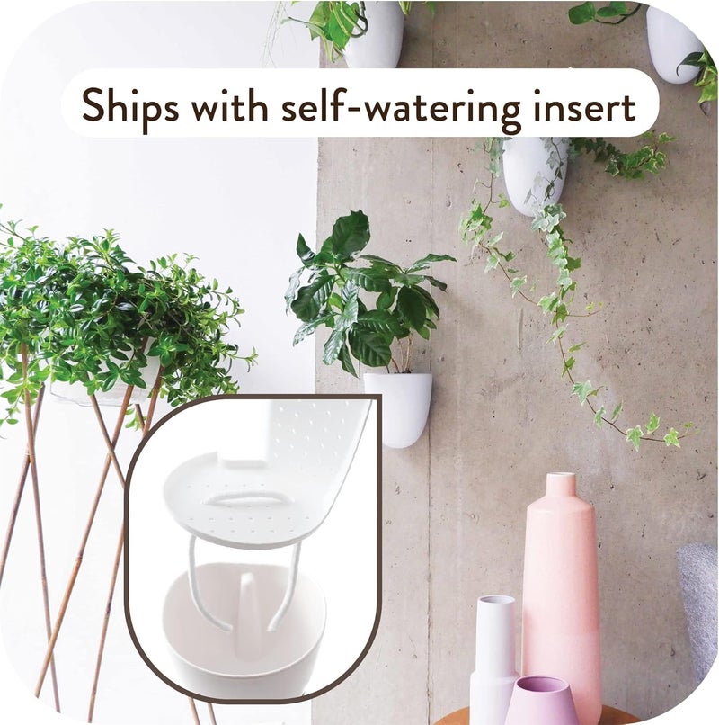 Make Good Store PlantPod Luxe - Self-Watering Wall Planters (Set of 6) - Easy to Water and Install - Lightweight - Design Your Own Vertical Garden - Wall Planters for Indoor Plants - Image 3