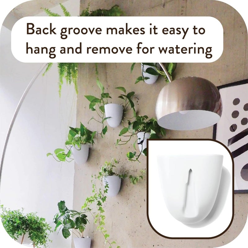 Make Good Store PlantPod Luxe - Self-Watering Wall Planters (Set of 6) - Easy to Water and Install - Lightweight - Design Your Own Vertical Garden - Wall Planters for Indoor Plants - Image 4
