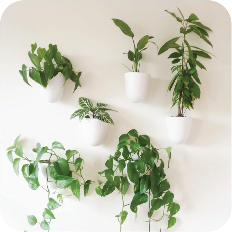 Make Good Store PlantPod Luxe - Self-Watering Wall Planters (Set of 6) - Easy to Water and Install - Lightweight - Design Your Own Vertical Garden - Wall Planters for Indoor Plants - Image 1