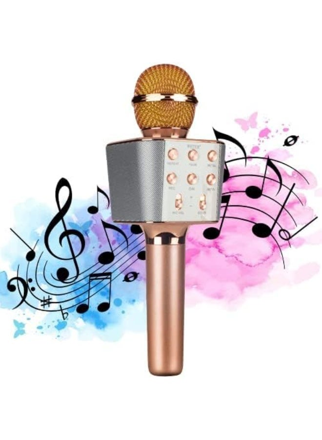 ROCK LIGHT S188 Wireless Karaoke Microphone, HiFi Speaker with FM Radio, Recording, USB Support, (Rose Gold) - Image 3