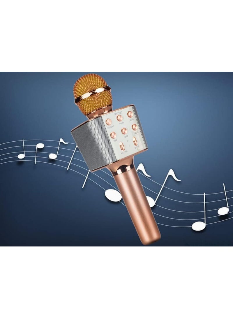 ROCK LIGHT S188 Wireless Karaoke Microphone, HiFi Speaker with FM Radio, Recording, USB Support, (Rose Gold) - Image 4