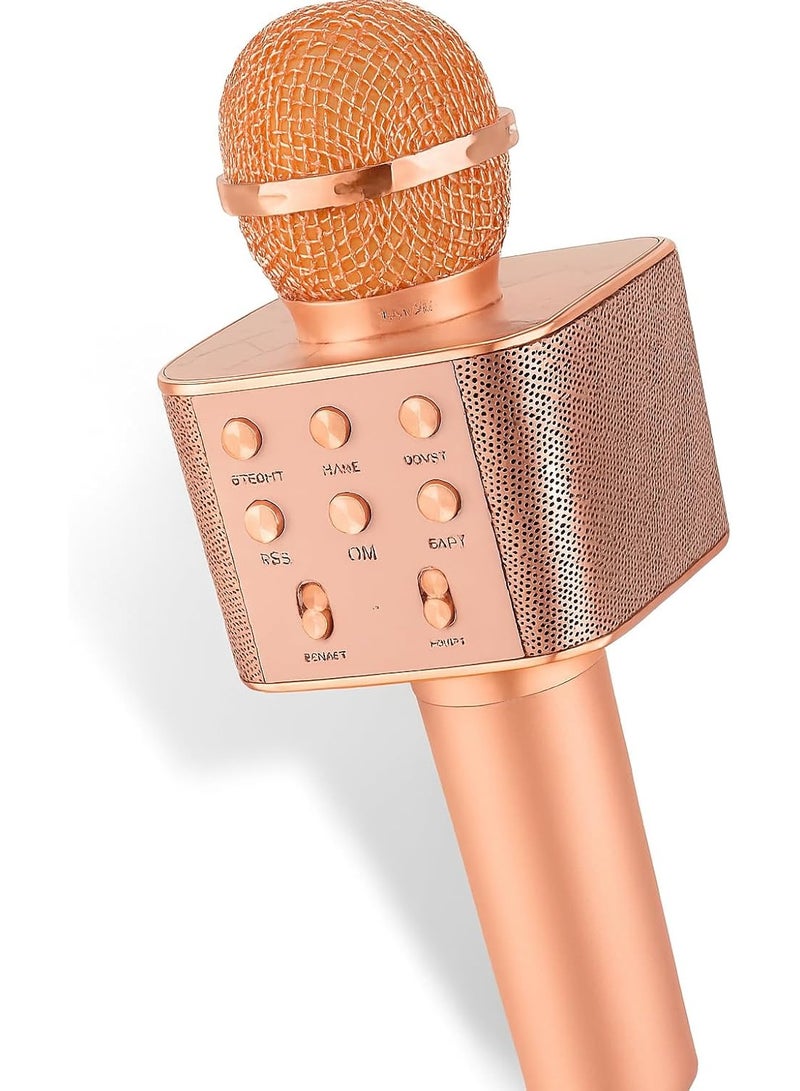 ROCK LIGHT S188 Wireless Karaoke Microphone, HiFi Speaker with FM Radio, Recording, USB Support, (Rose Gold) - Image 5