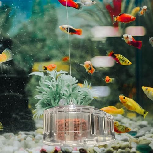 TUNAI Dophin MC111 Snail Catcher for Aquarium Fish Tank | Innovative Design | Capture and Remove Unwanted Snails | Ideal for Saltwater and Freshwater Aquariums | (Original from Store) - Image 5