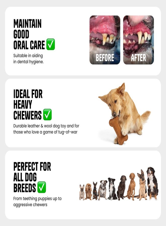 Oye Bark Bone Leather Dog Toy | Leather Dog Chew Toy with Wool | Puppy Teething Toy | Interactive Dog Toy for Small, Medium & Large Breed Dogs - Image 4