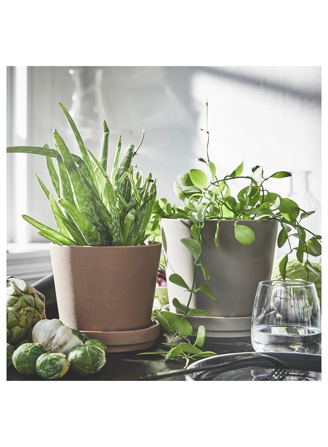 Zaboon Plant Pot With Saucer, In/Outdoor Grey-Brown, 15 Cm - Image 3