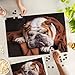 Lantern Press English Bulldog Sleeping on Couch Photography A90753 1000 Piece Jigsaw Puzzle for Adults Made in USA with Reference Poster - Image 4