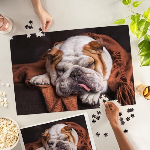 Lantern Press English Bulldog Sleeping on Couch Photography A90753 1000 Piece Jigsaw Puzzle for Adults Made in USA with Reference Poster - Image 5