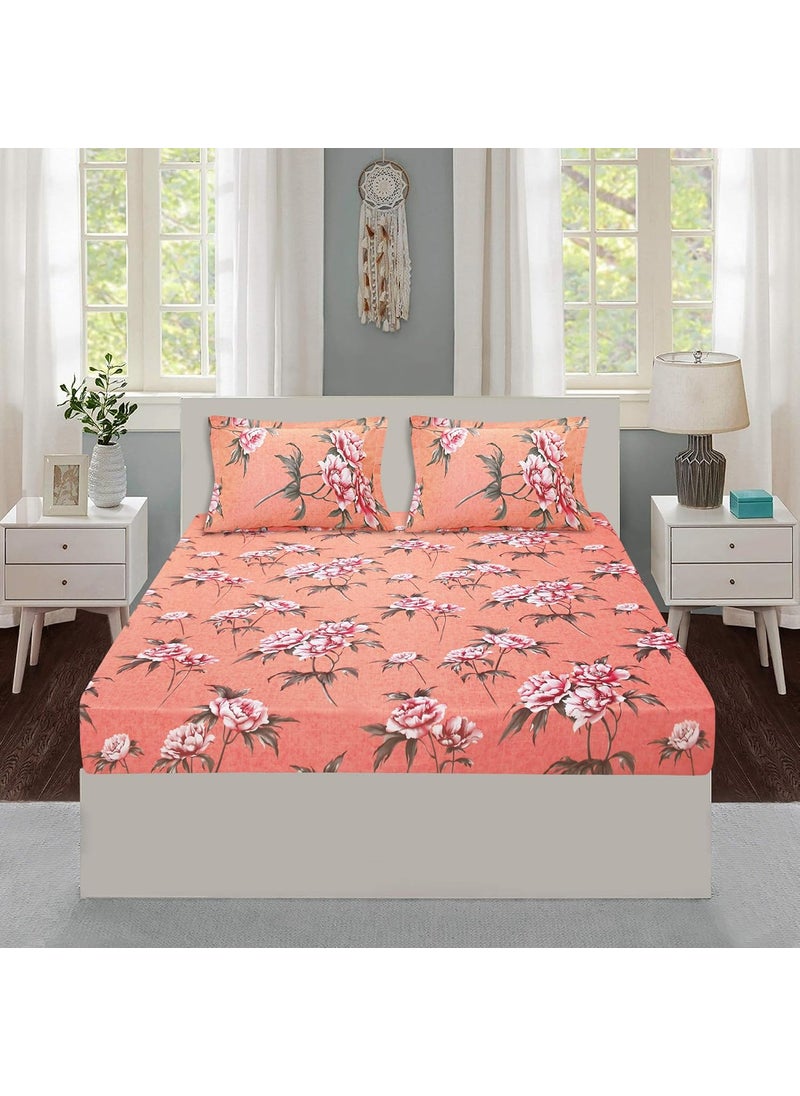 Queenzliving Queenzliving Radiant 144 TC Cotton King Size Bed Sheet with 2 Pillow Covers Orange  - Image 2