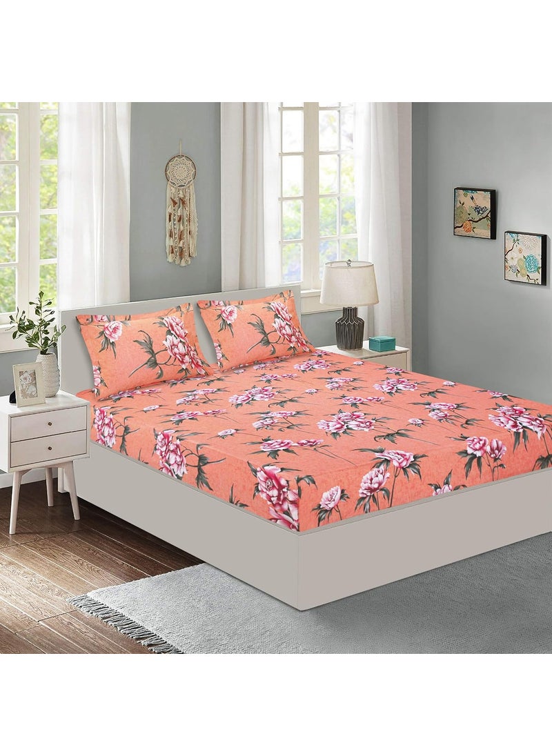 Queenzliving Queenzliving Radiant 144 TC Cotton King Size Bed Sheet with 2 Pillow Covers Orange  - Image 1