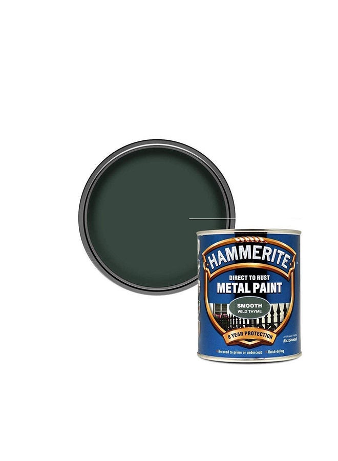 Hammerite 5158230 Direct to Rust Metal Paint Smooth Wild Thyme