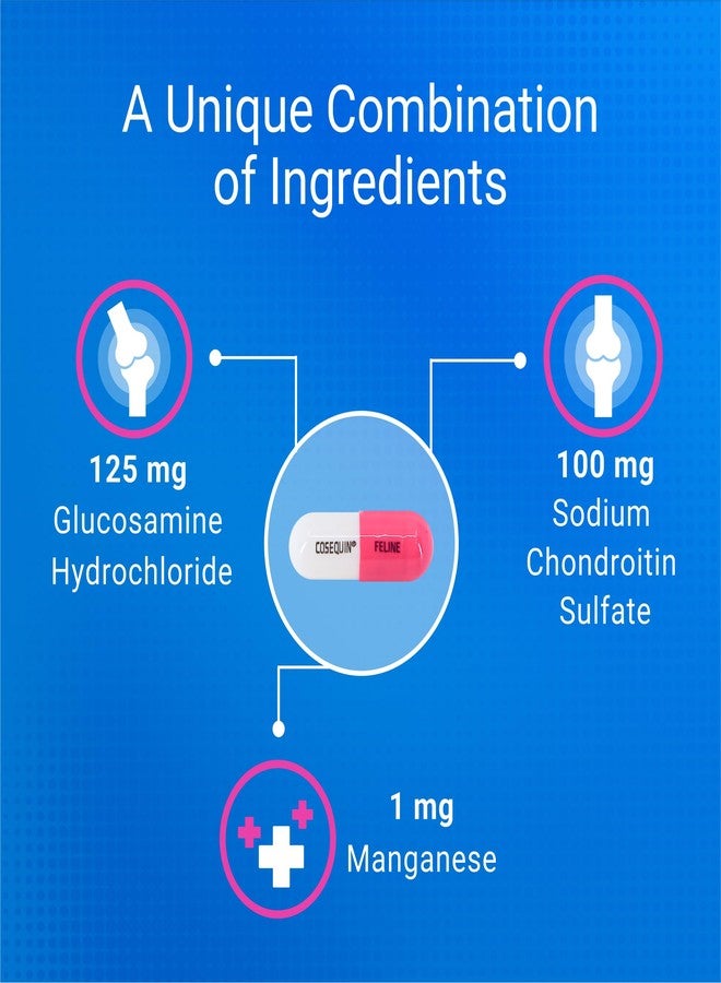 COSEQUIN Nutramax Cosequin 80 Sprinkle Capsules for Cats - Image 4