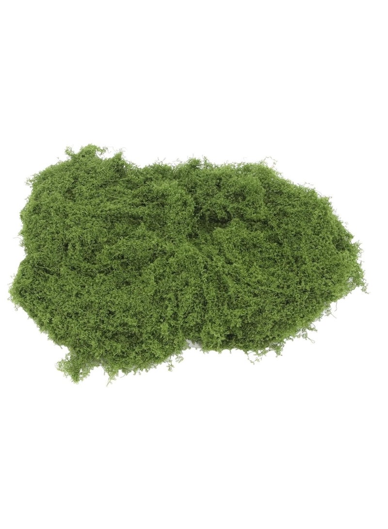 الواحة-TH 100 غرام من الطحالب الاصطناعية، مظهر طبيعي، لون أخضر داكن، سهلة التجفيف والصبغ والحفظ، طحالب اصطناعية لتزيين الحدائق والنباتات المنزلية والحرف اليدوية. - Image 5