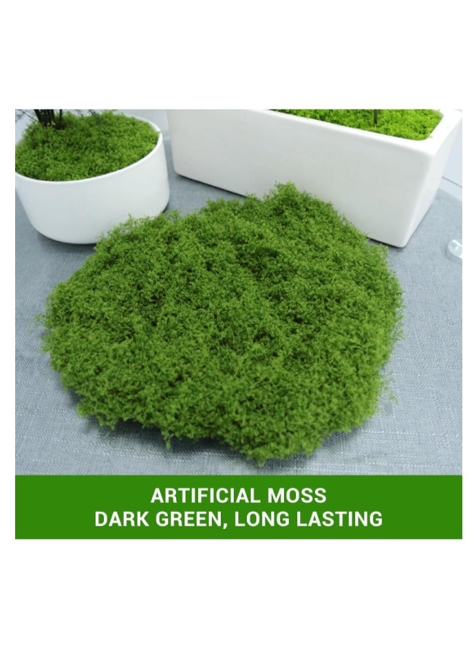 الواحة-TH 100 غرام من الطحالب الاصطناعية، مظهر طبيعي، لون أخضر داكن، سهلة التجفيف والصبغ والحفظ، طحالب اصطناعية لتزيين الحدائق والنباتات المنزلية والحرف اليدوية. - Image 3