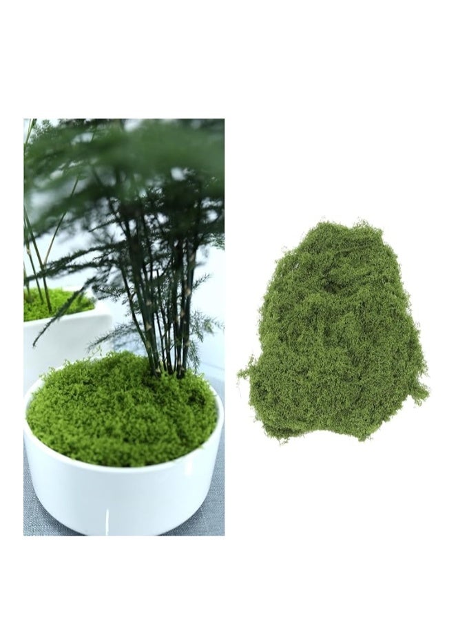 الواحة-TH 100 غرام من الطحالب الاصطناعية، مظهر طبيعي، لون أخضر داكن، سهلة التجفيف والصبغ والحفظ، طحالب اصطناعية لتزيين الحدائق والنباتات المنزلية والحرف اليدوية. - Image 1