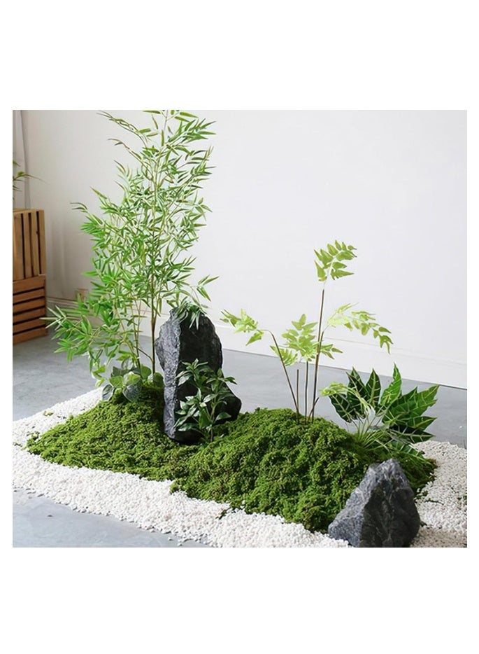 الواحة-TH 100 غرام من الطحالب الاصطناعية، مظهر طبيعي، لون أخضر داكن، سهلة التجفيف والصبغ والحفظ، طحالب اصطناعية لتزيين الحدائق والنباتات المنزلية والحرف اليدوية. - Image 4