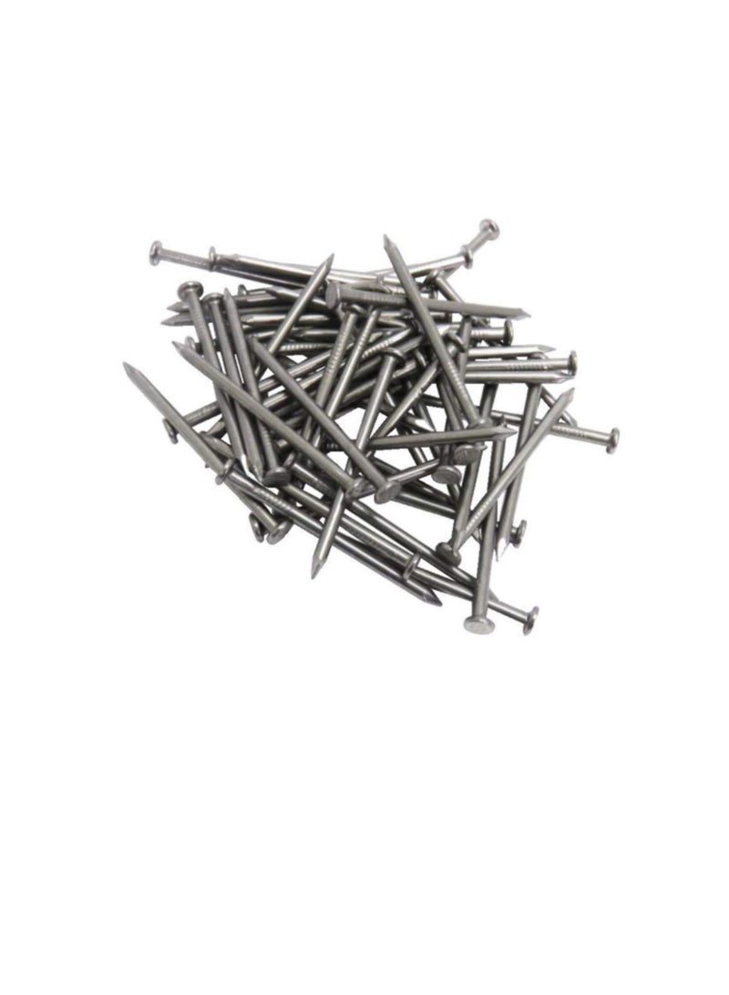 High Strength Round Head Nails For Carpentry Hardware Electrical Etc (100, 1 inch)  - Image 3