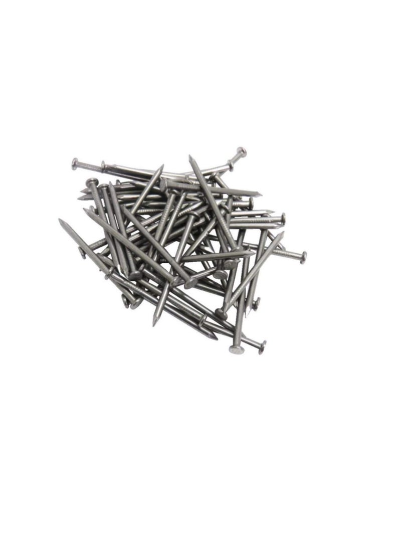 High Strength Round Head Nails For Carpentry Hardware Electrical Etc (100, 1 inch)  - Image 2