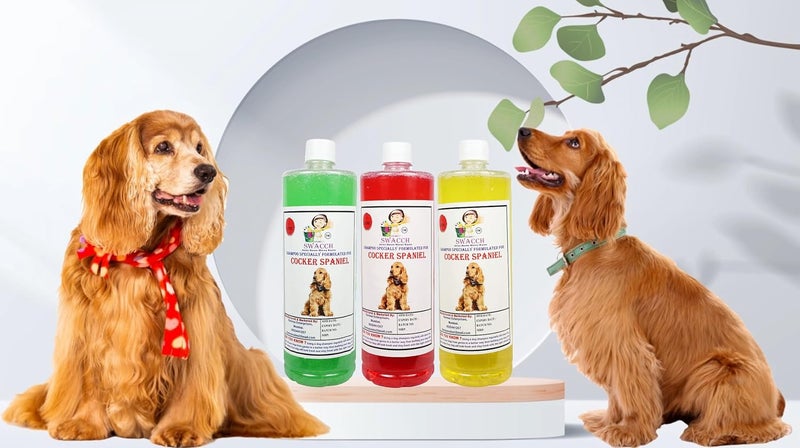 SWACCH Shampoo Specially FORMULATED for Cocker Spaniel 1 Litre Combo Pack of 3 NEEM ALOVERA Strawberry Lemon - Image 1