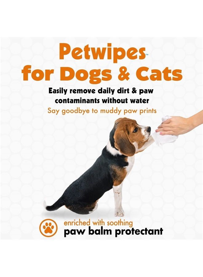Petkin Big N' Thick Paw Wipes for Dogs, 100 Large Wipes (4 Pack) - Clean Dirty Paws After Walks, with Paw Balm Protectant - Keep Floors and Furniture Clean - Ideal for Home or Travel - Orange Scent - Image 3