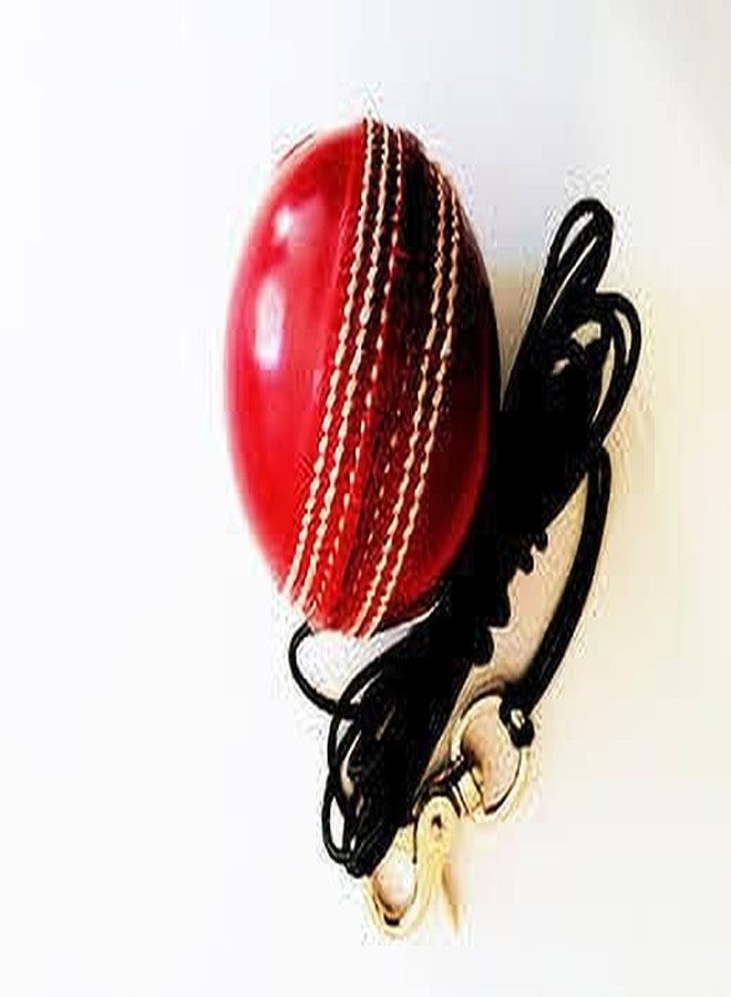 YMD Leather Cricket Hanging Ball for Shot Practice LI30 Cricket Training Ball (Pack of 1) - Image 1
