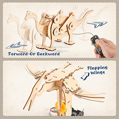 Yutin Dinosaur STEM Kits for Kids Ages 6-8-10-12, 4 in 1 Wood Building Toys for Boys Age 8-12, Build It Yourself Woodworking Kit, DIY 3D Wooden Puzzles Model Science Crafts for Kids, Stem Projects - Image 3