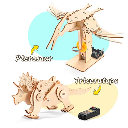 Yutin Dinosaur STEM Kits for Kids Ages 6-8-10-12, 4 in 1 Wood Building Toys for Boys Age 8-12, Build It Yourself Woodworking Kit, DIY 3D Wooden Puzzles Model Science Crafts for Kids, Stem Projects - Image 5