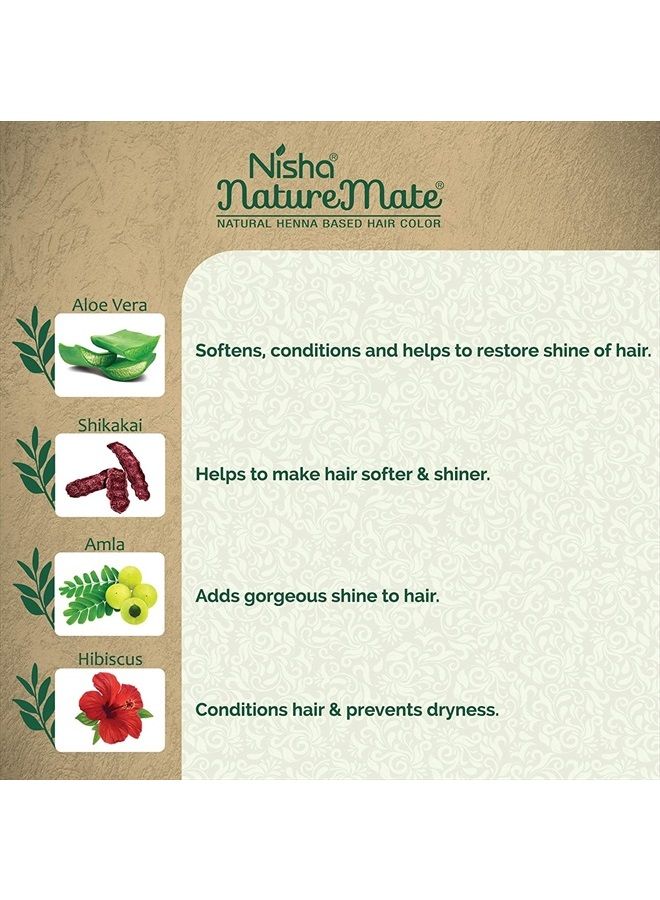 Nisha Naturemate Natural Henna Based Hair Color, Black Hair Dye, No Ammonia, Natural Black Hair Color For Gray Coverage, 6-in-1, 10gm Each Pouch, Box Pack - Image 5