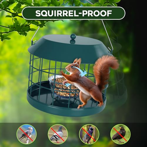 Gbekery Caged Bluebird Feeder for Mealworms with Glass Bowl, Squirrel Proof Bird Feeder for Small Birds Only, Detachable Hook, Large Space, Outdoors Weatherproof, Metal, Green - Image 5
