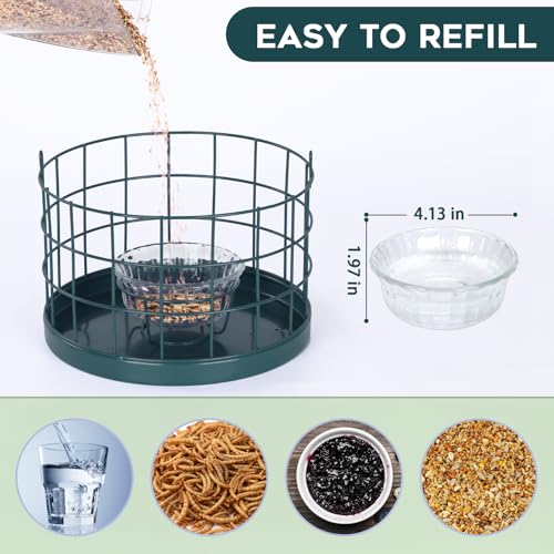 Gbekery Caged Bluebird Feeder for Mealworms with Glass Bowl, Squirrel Proof Bird Feeder for Small Birds Only, Detachable Hook, Large Space, Outdoors Weatherproof, Metal, Green - Image 4