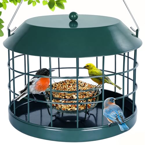 Gbekery Caged Bluebird Feeder for Mealworms with Glass Bowl, Squirrel Proof Bird Feeder for Small Birds Only, Detachable Hook, Large Space, Outdoors Weatherproof, Metal, Green - Image 1