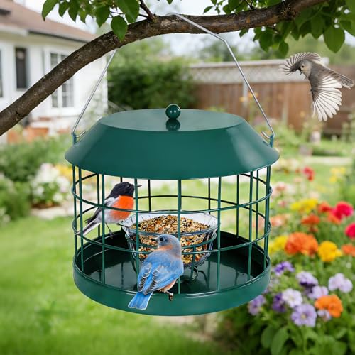 Gbekery Caged Bluebird Feeder for Mealworms with Glass Bowl, Squirrel Proof Bird Feeder for Small Birds Only, Detachable Hook, Large Space, Outdoors Weatherproof, Metal, Green - Image 2