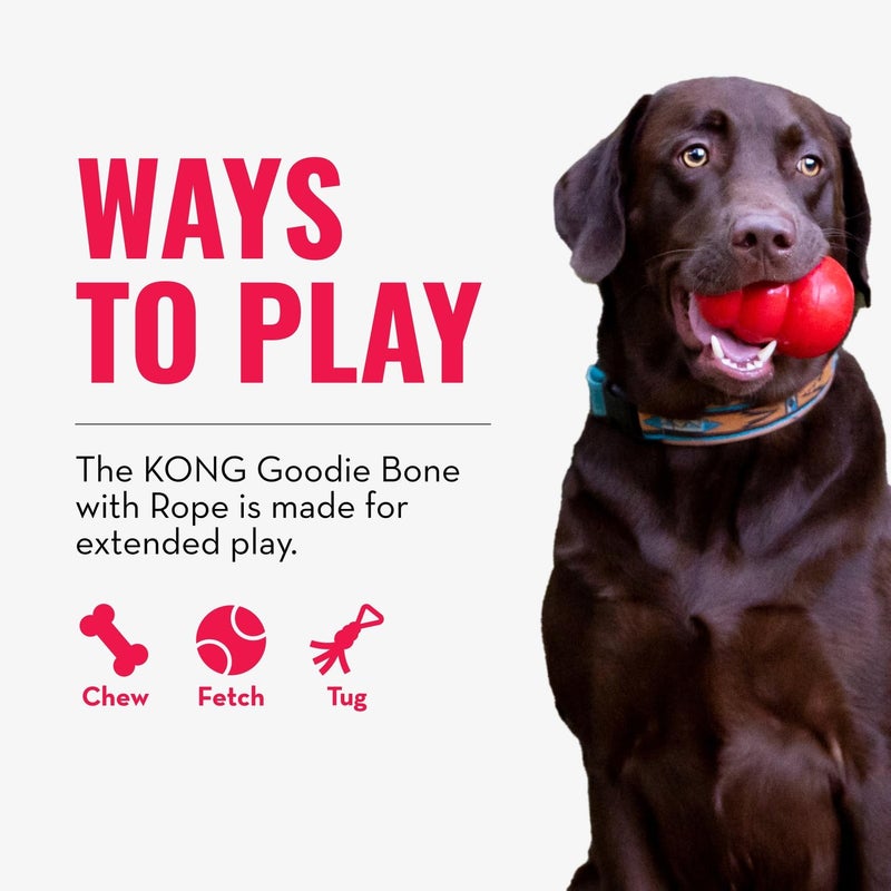 KONG Puppy Goodie Bone with Rope - Natural Rubber Bone with Cotton Rope - Teeth Cleaning Chew Toy for Growing Puppies - for XS Puppies - Blue - Image 4