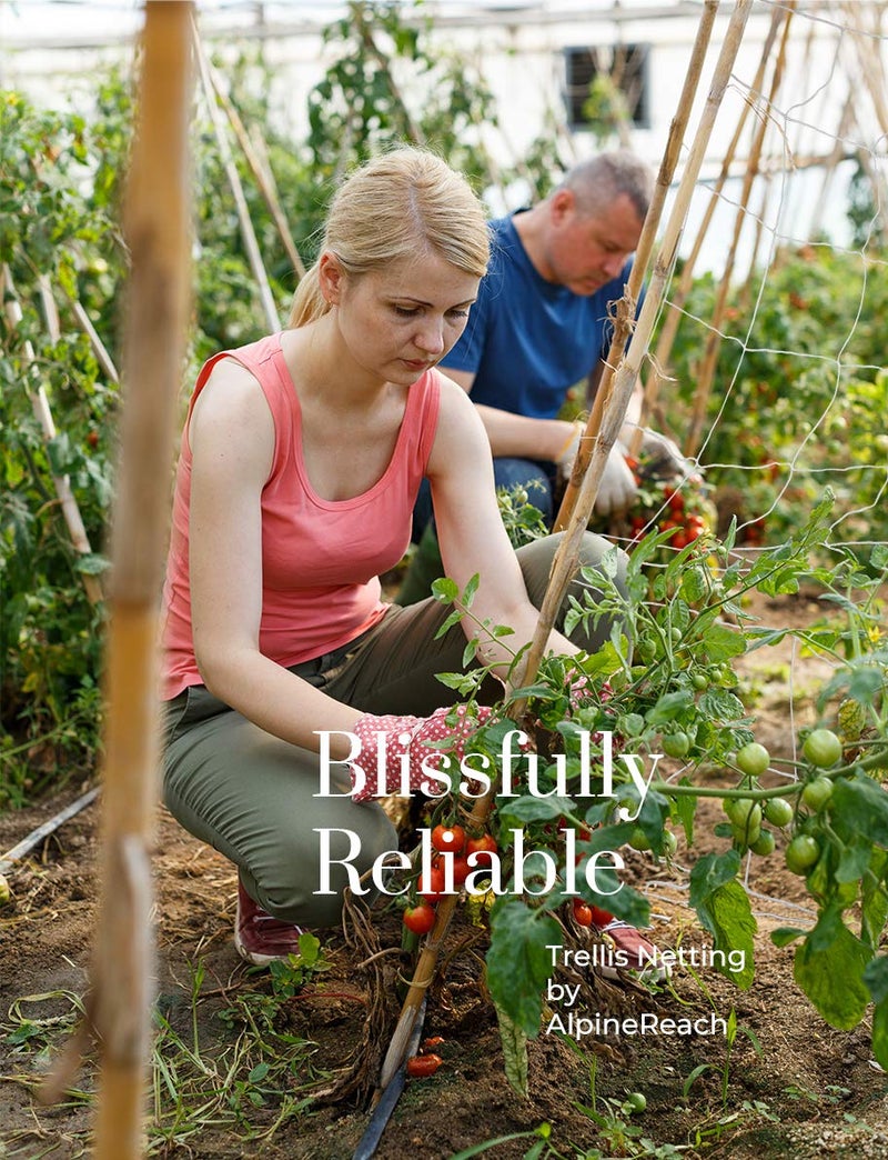 AlpineReach Trellis Netting 5 x 350 ft Heavy Duty Polyester White - 6 Inch Mesh Support Twine for Growing High Yield Tomatoes, Peas, Vine Climbing Plants Fruits Vegetables - Image 5