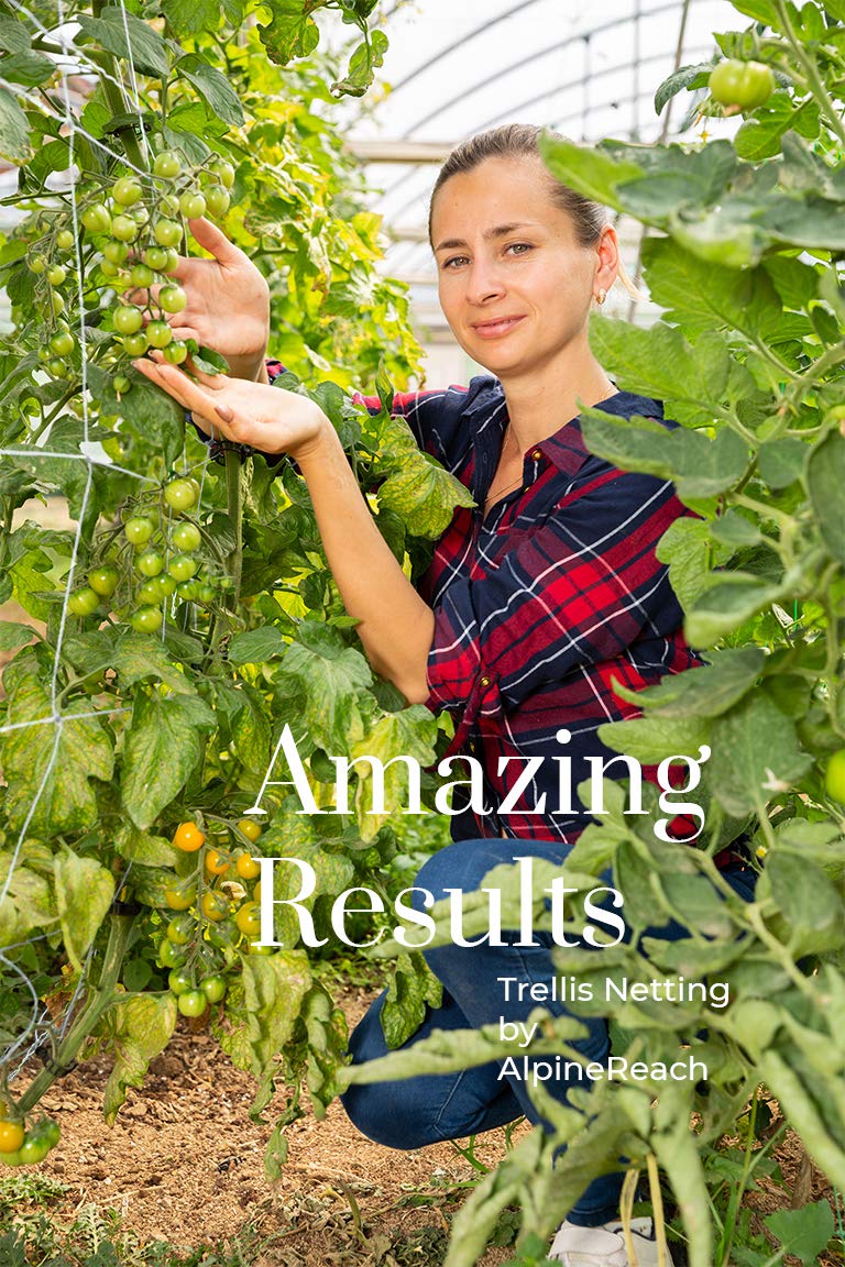 AlpineReach Trellis Netting 5 x 350 ft Heavy Duty Polyester White - 6 Inch Mesh Support Twine for Growing High Yield Tomatoes, Peas, Vine Climbing Plants Fruits Vegetables - Image 4