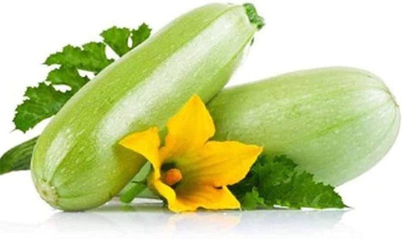 50 Pz Colour Brillante Semi Di Zucchine Giardino Esterno Continitore Terrazza Giardinaggio FAI Da Te Piantare Cimelio Di Zucca Verdura Adatto Principianti Giardinieri Professionisti