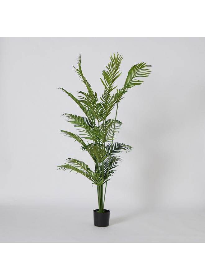 ثيودور شجرة نخيل صناعية 150 سم - Image 5