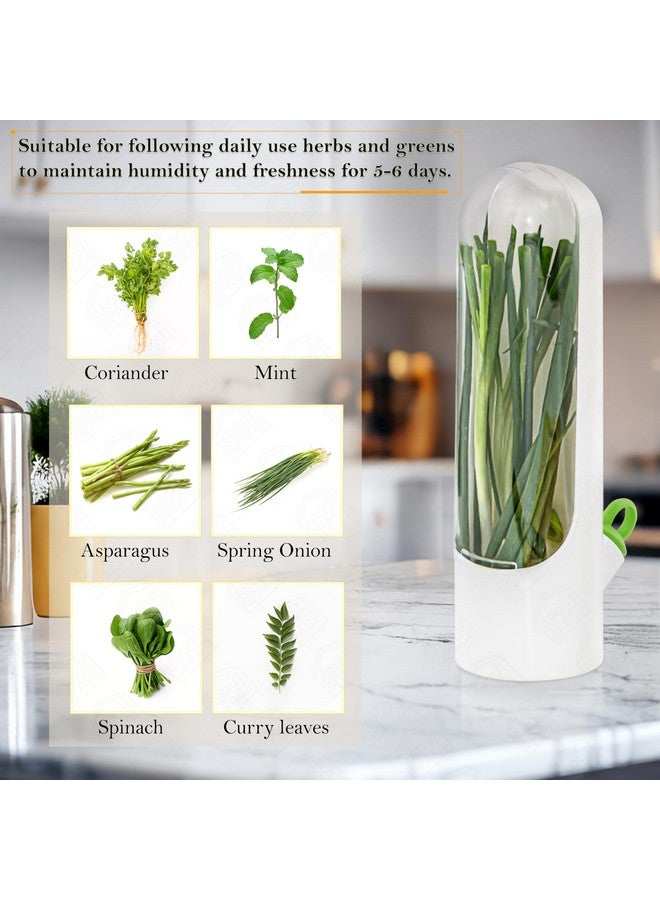 ABOUT SPACE 2 Pcs Herb Saver Pod, Fresh Herb Keeper for Refrigerator, Mint Basil Coriander Container for Fridge Transparent Storage Pods, Container Saver for Refrigerator (B6xH25 cm) Plastic - Image 5