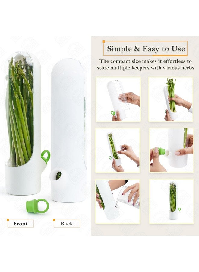 ABOUT SPACE 2 Pcs Herb Saver Pod, Fresh Herb Keeper for Refrigerator, Mint Basil Coriander Container for Fridge Transparent Storage Pods, Container Saver for Refrigerator (B6xH25 cm) Plastic - Image 3