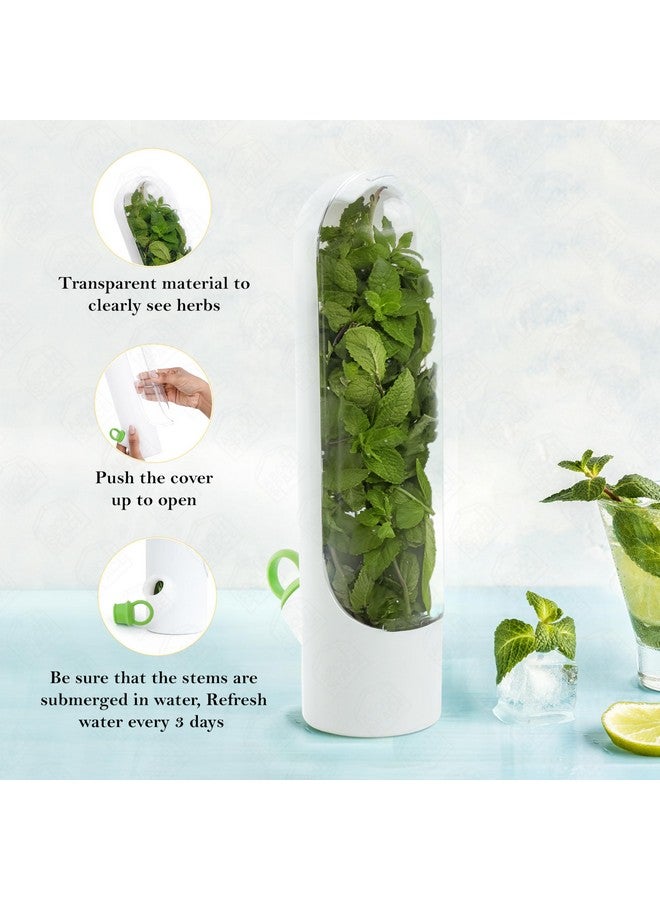 ABOUT SPACE 2 Pcs Herb Saver Pod, Fresh Herb Keeper for Refrigerator, Mint Basil Coriander Container for Fridge Transparent Storage Pods, Container Saver for Refrigerator (B6xH25 cm) Plastic - Image 4