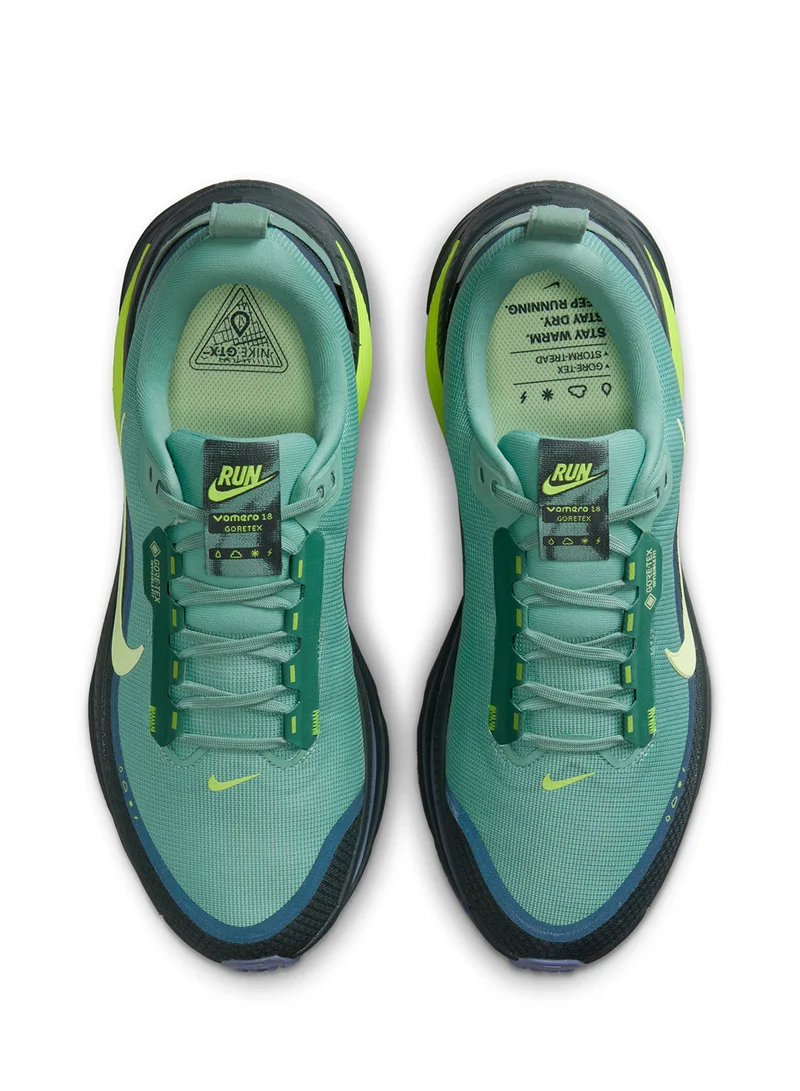 Nike Vomero 18 Gtx