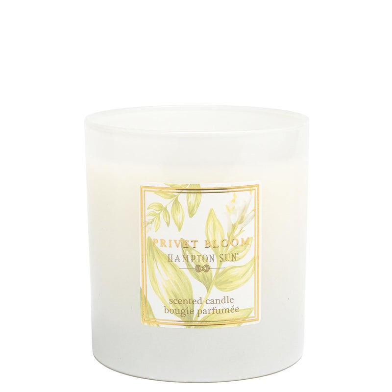 Hampton Sun Privet Bloom Candle Crisp Clean White Floral Scent Reminiscent of Summer in the Hamptons White Hyacinth Sea Spray Lily of the Valley Dune Grass Jasmine Modern Elegance White Glass Candle