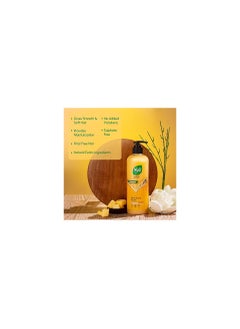 Nyle Nyle Natural Pure Shampoo For Nourished Hair With Goodness Of Murumuru Butter For Men Women No Paraben  - Image 2
