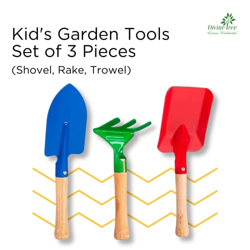DIVINE TREE Kids Gardening Tools Kit – Garden Tools for Home Gardening Set for Kids (Shovel, Trowel, Rake) – Mini Garden Tool Set for Children – Educational Outdoor & Indoor Play Gift - Image 2