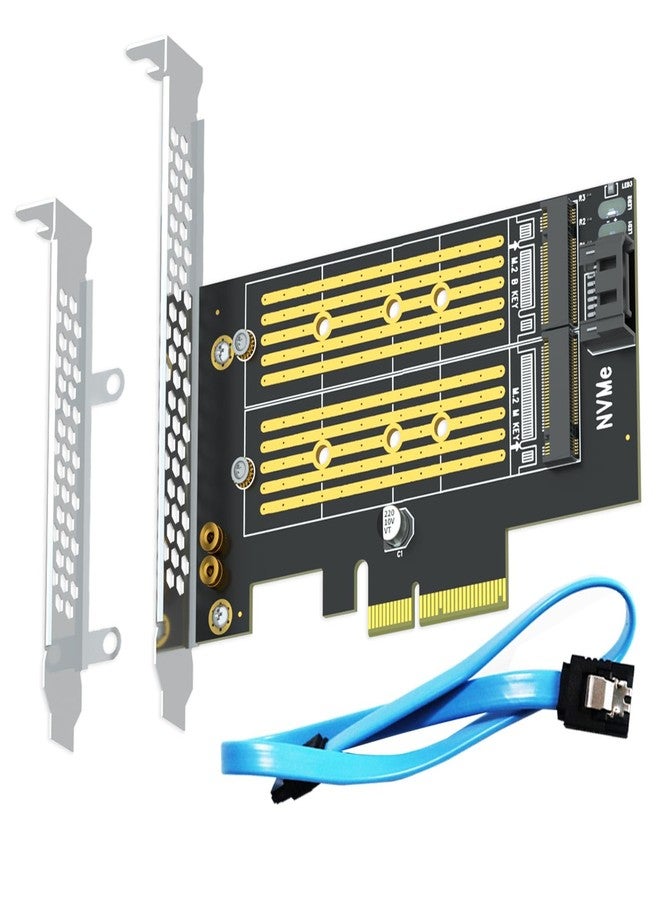 جلوتريندز محول GLOTRENDS PA12 ثنائي M.2 PCIe لمحرك أقراص SSD من نوع M.2 NVMe ومحرك أقراص SSD من نوع M.2 SATA، يدعم PCIe 4.0/3.0 X4 بسرعة كاملة - Image 1
