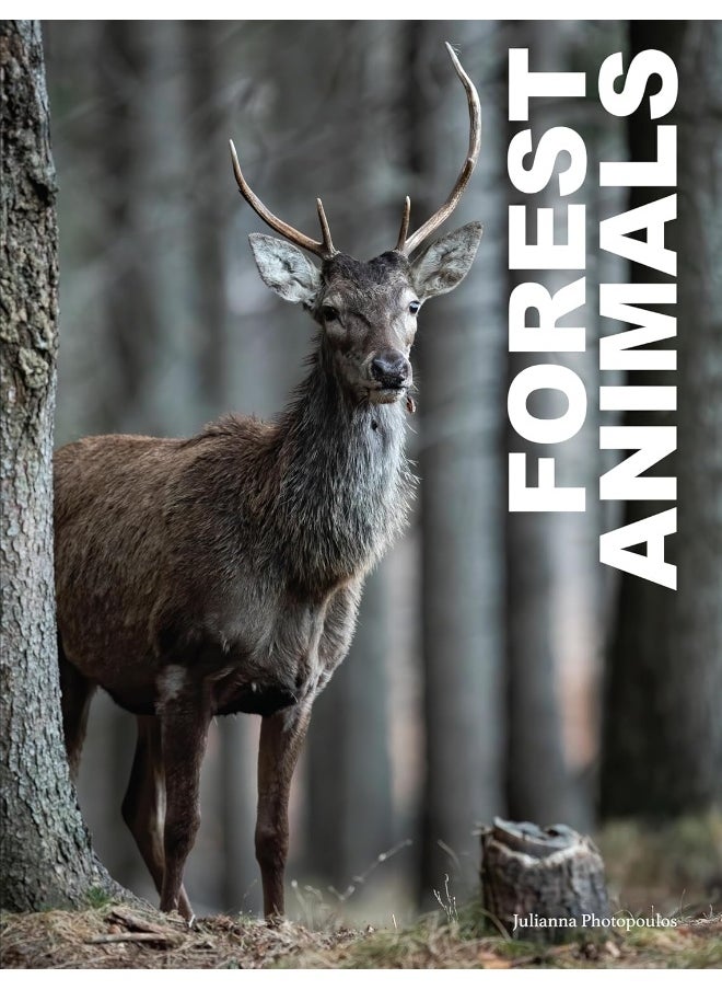Forest Animals  - Image 1