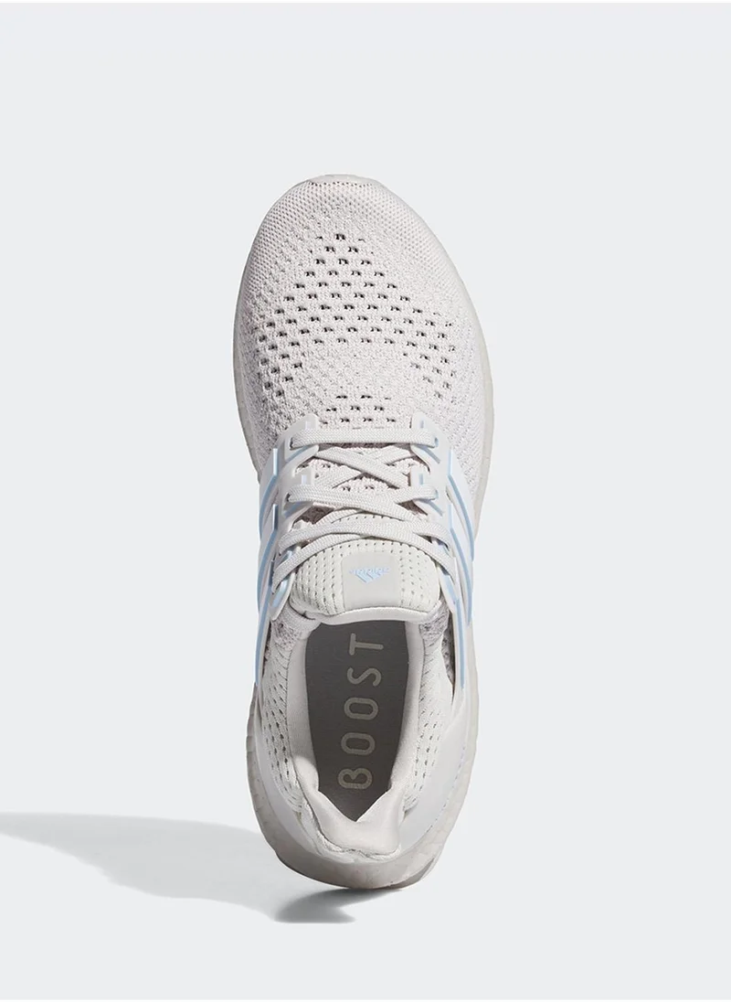 Adidas Ultraboost 1.0 W
